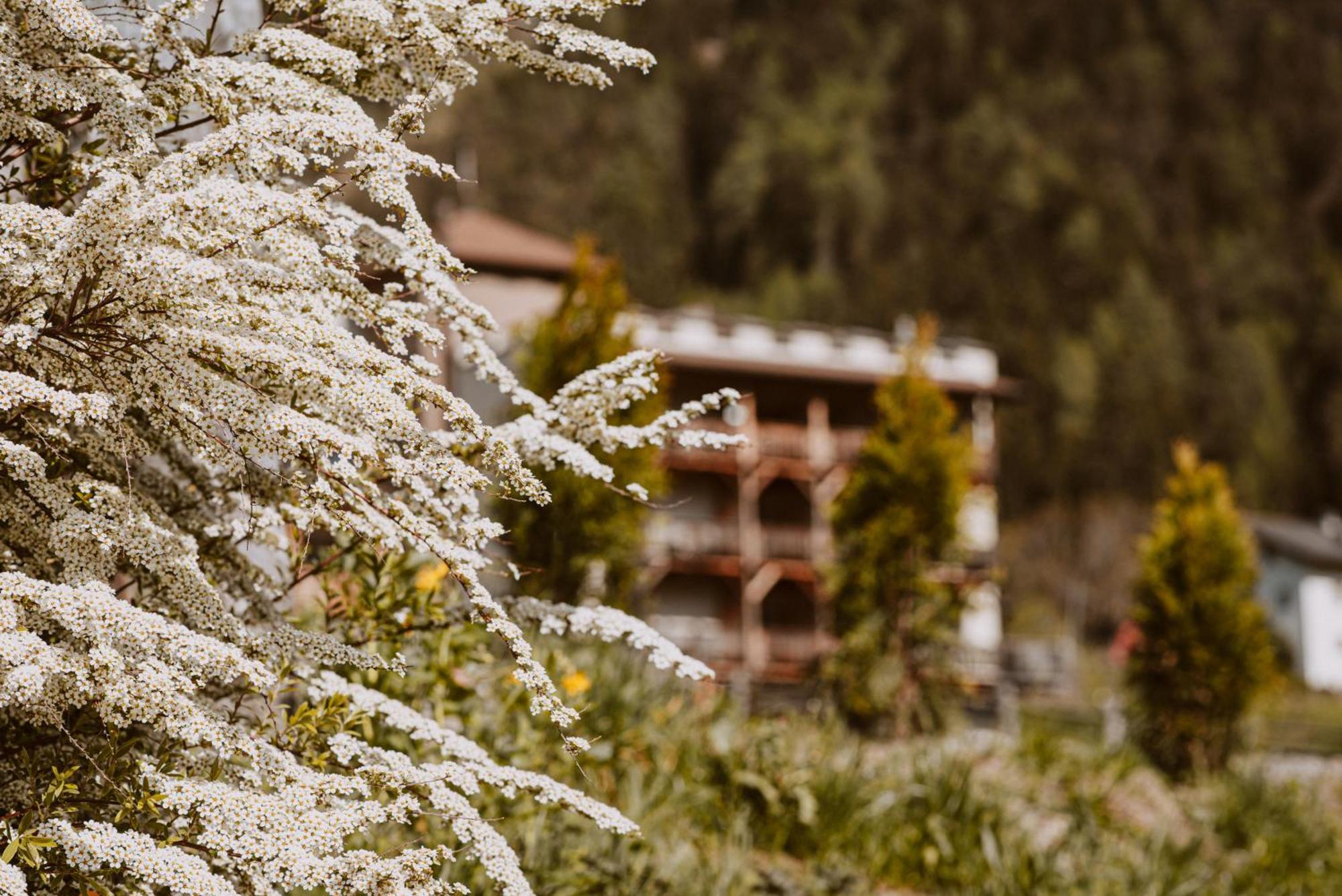 Hotel Bergschlossl